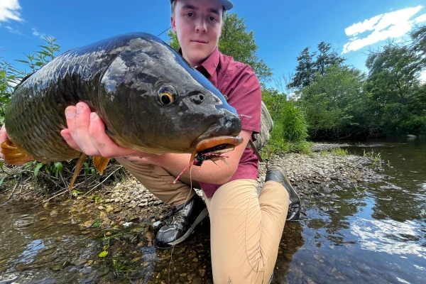 Last Chance for Anglers: Brood XIII Cicadas Create Unique Fishing Opportunities