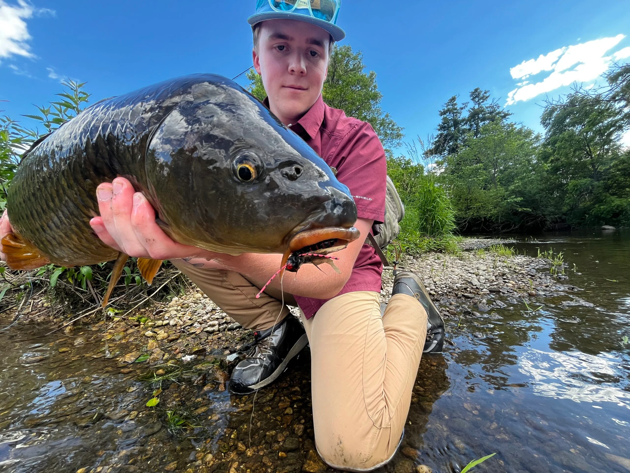 Last Chance for Anglers: Brood XIII Cicadas Create Unique Fishing Opportunities