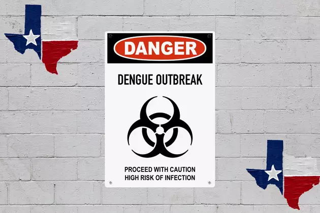 Deadly Dengue Outbreak Reported in Texas, Health Officials Urge Vigilance