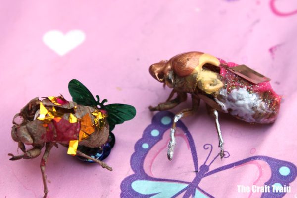 Innovative Ways to Utilize Cicada Shells