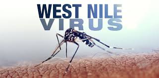 Health Alert: West Nile Virus Found in Winnebago County