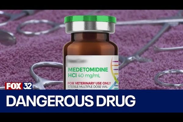 Emergence of Dangerous Animal Tranquilizer in Chicago Street Drugs Sparks Statewide Health Alerts