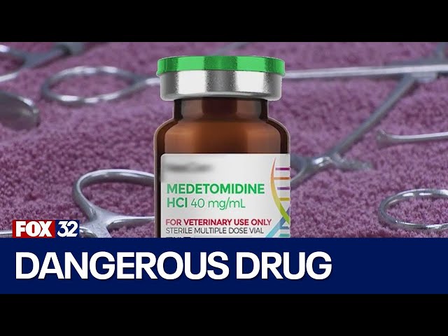 Emergence of Dangerous Animal Tranquilizer in Chicago Street Drugs Sparks Statewide Health Alerts