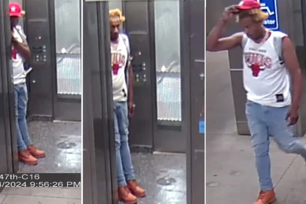 Robbery on CTA Red Line: Police Release Photos of Suspect in Brutal Attack