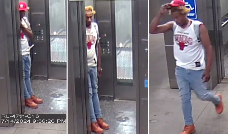 Robbery on CTA Red Line: Police Release Photos of Suspect in Brutal Attack