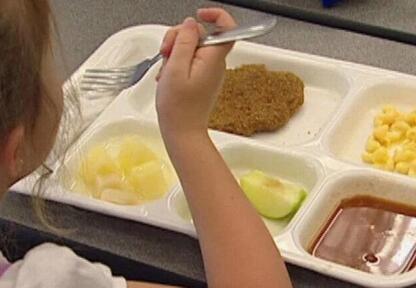 Illinois kids gain food security with school meal programs