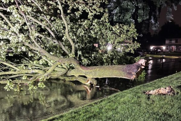 Chicagoland Hit by Severe Weather: Fatality and Extensive Power Outages Reported