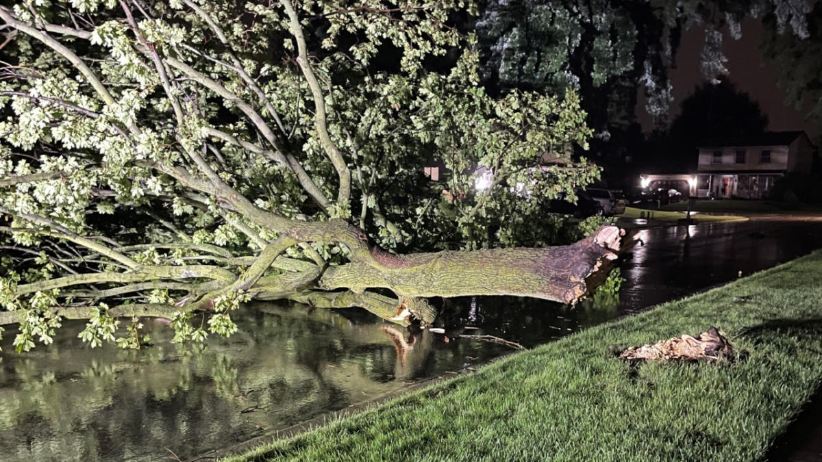 Chicagoland Hit by Severe Weather: Fatality and Extensive Power Outages Reported