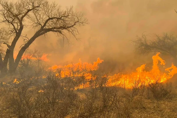 Experts Warn: Protect Yourself from Poor Air Quality Due to Wildfires