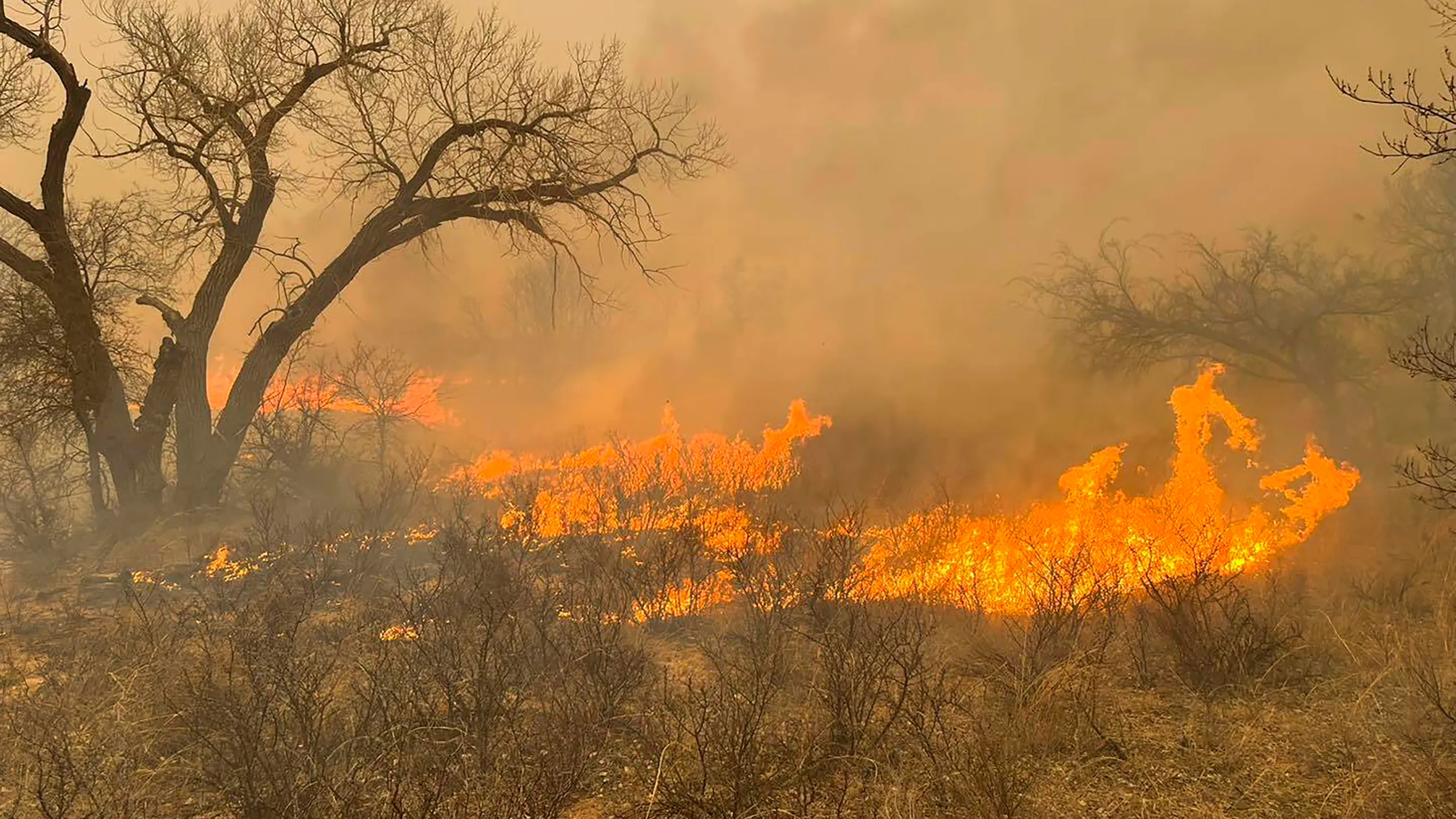 Experts Warn: Protect Yourself from Poor Air Quality Due to Wildfires