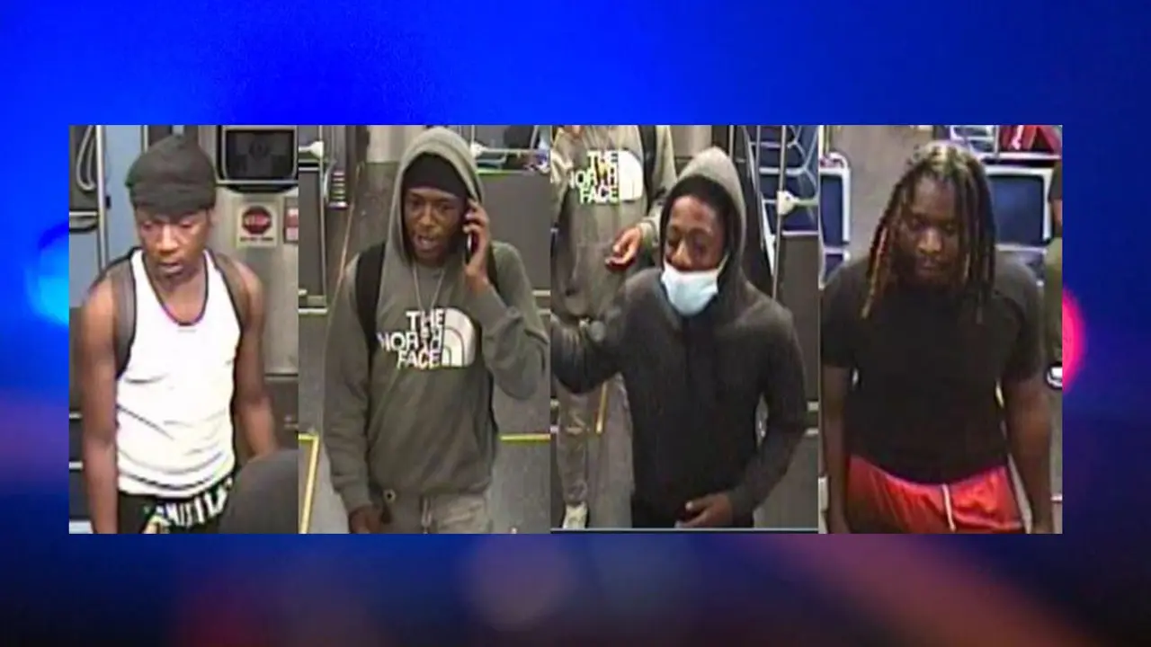 Man Attacked and Robbed on CTA Red Line: Police Ask for Public's Assistance