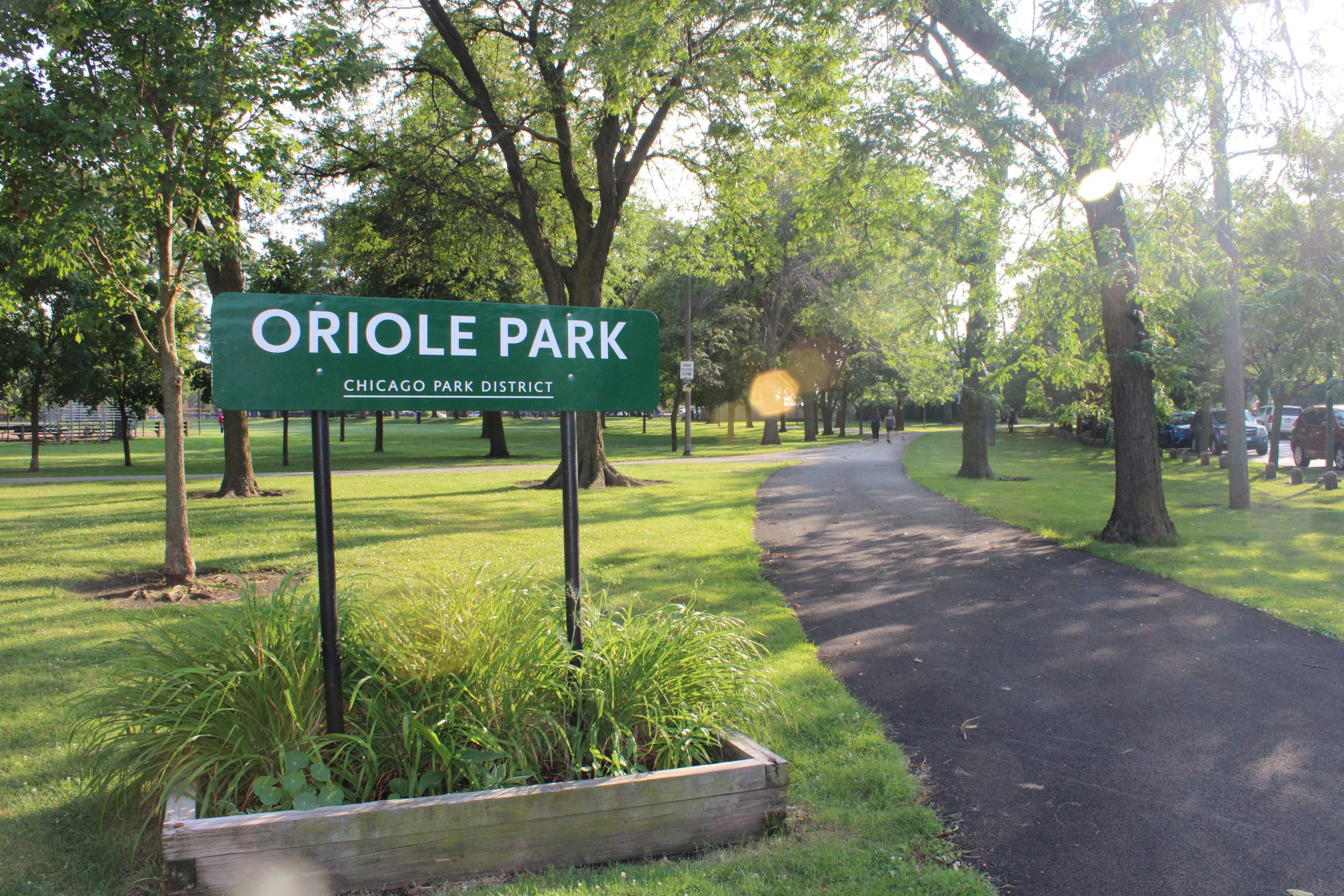 Teen in Recovery After Assault by Friends, Struck by Driver in Oriole Park, Alderman Reports