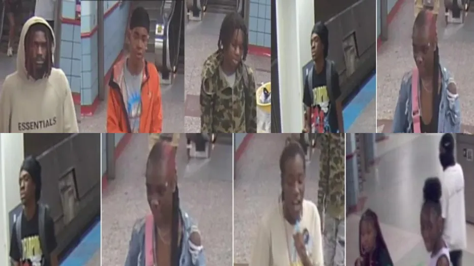 Chicago Police Seek Identification of Youths Involved in CTA Senior Citizen Attack