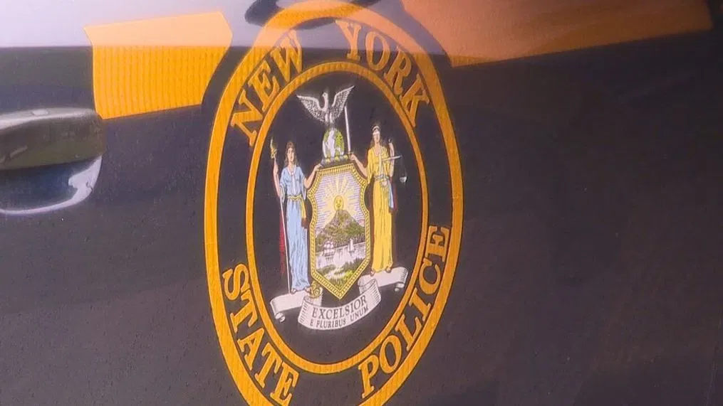 New York State Police Arrest 359 in Major Retail Theft Crackdown