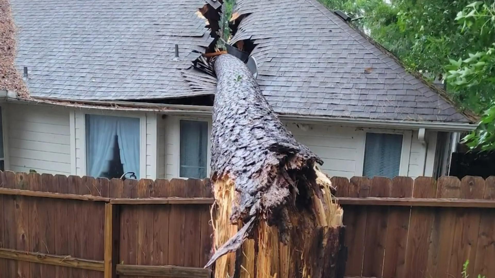 Houston Mother Fights for Justice After Rotten Tree Destroys Home in Hurricane Beryl