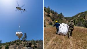 Large Quantity of Waste from Illegal Cannabis Grows Discovered in Northern California's Largest State Park