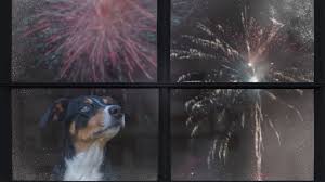 Expert Tips for Keeping Pets Calm During Fireworks (4th of July 2024)