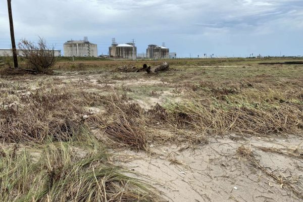 Hurricane Beryl’s Impact on Texas Beaches: Flattened Dunes and Other Effects