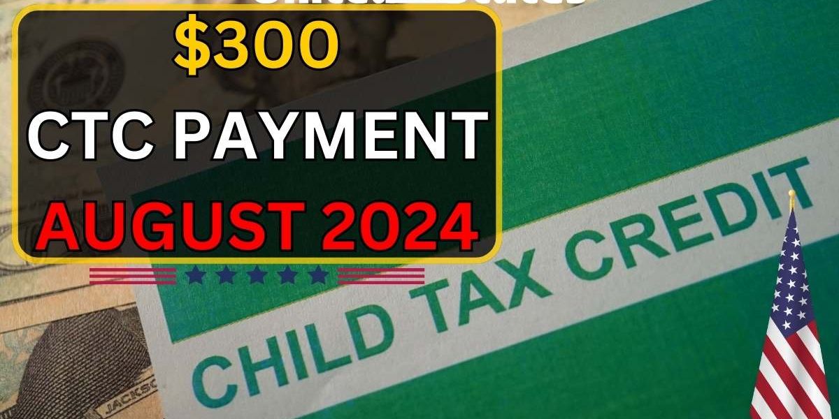 $300 Child Tax Credit Update 2024 Expected Payment Dates, Eligibility, and How to Claim