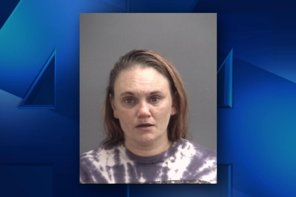 Illinois Woman Arrested on Drug Charges in Gibson County After Major Bust