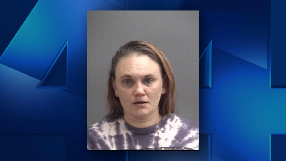 Illinois Woman Arrested on Drug Charges in Gibson County After Major Bust