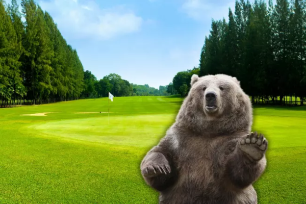 Black Bear Golf Course in Illinois: A New Destination for Golf Enthusiasts