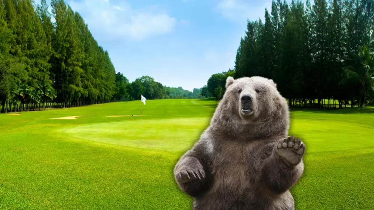 Black Bear Golf Course in Illinois: A New Destination for Golf Enthusiasts