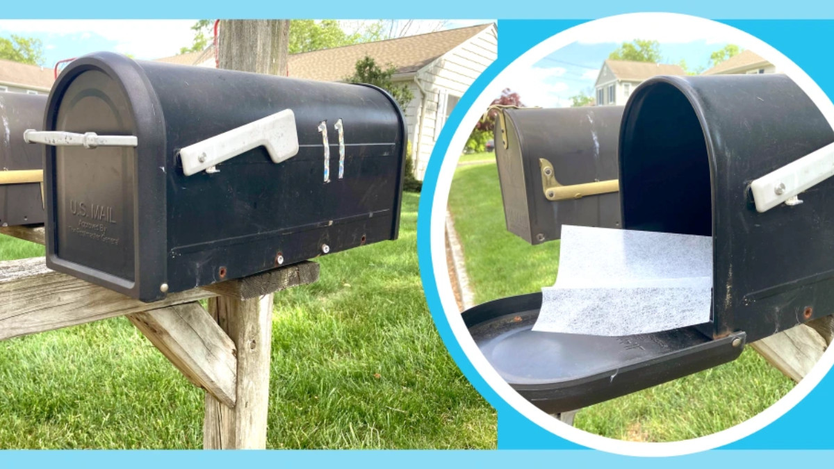 Warning Issued for Illinois, Iowa, and Wisconsin: Why You Shouldn't Remove Dryer Sheets from Mailboxes