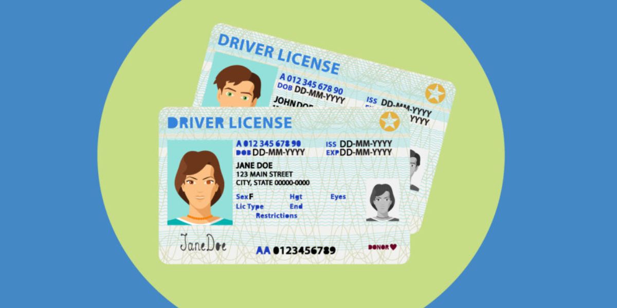 May 1 Update Florida Driver’s License Renewal Rules and Requirements