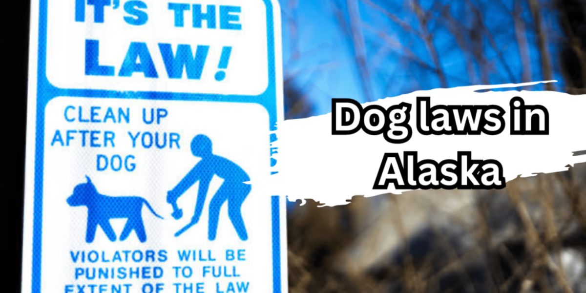 New Law in Alaska Affects Pet Feeders What Pet Owners Should Understand