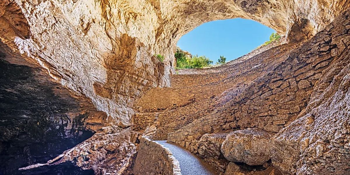 New Mexico’s Rattlesnake Havens Key Locations to Watch Out For