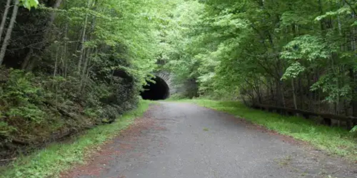 North Carolina’s Most Haunted Roads Prepare to Be Stunned by These Gravity-Defying Routes