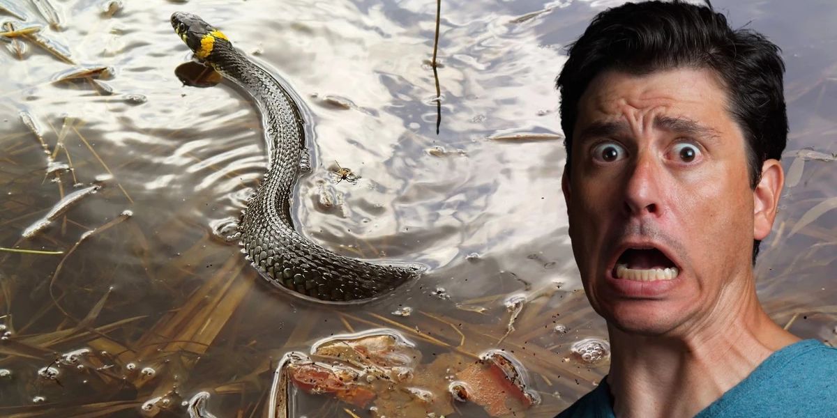 Snake-Infested Oregon Lakes The Hidden Dangers Lurking Beneath the Surface