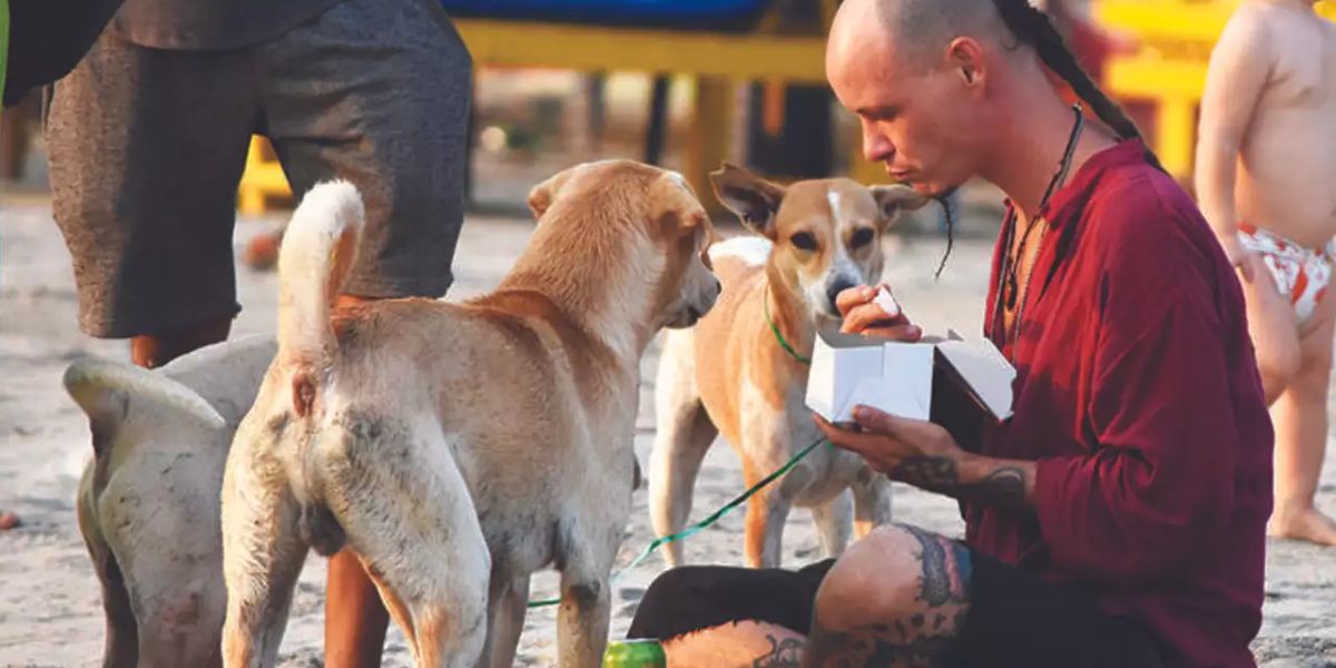 The New Maryland Pet Feeder Law A Must-Read for All Pet Owners (1)